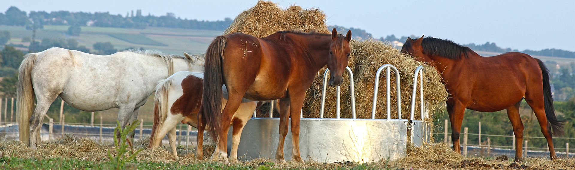 EM Eqiobiome för friska välmående hästar