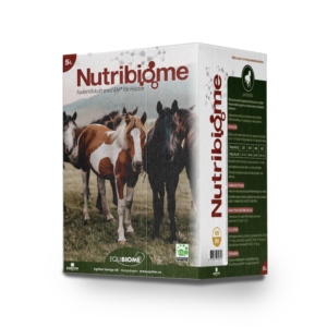 Nutribiome fodertillskott för hästar